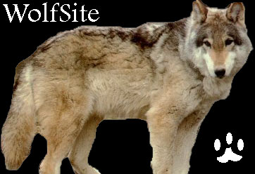 WolfSite